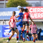 Disputa de una pelota aérea